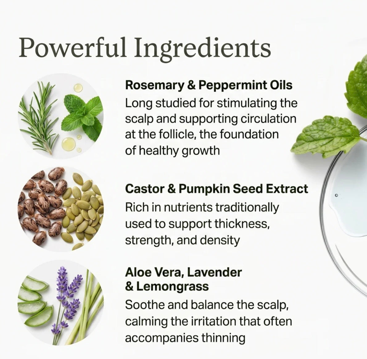 Fast Hair Growth Oil - Infinite Beautye